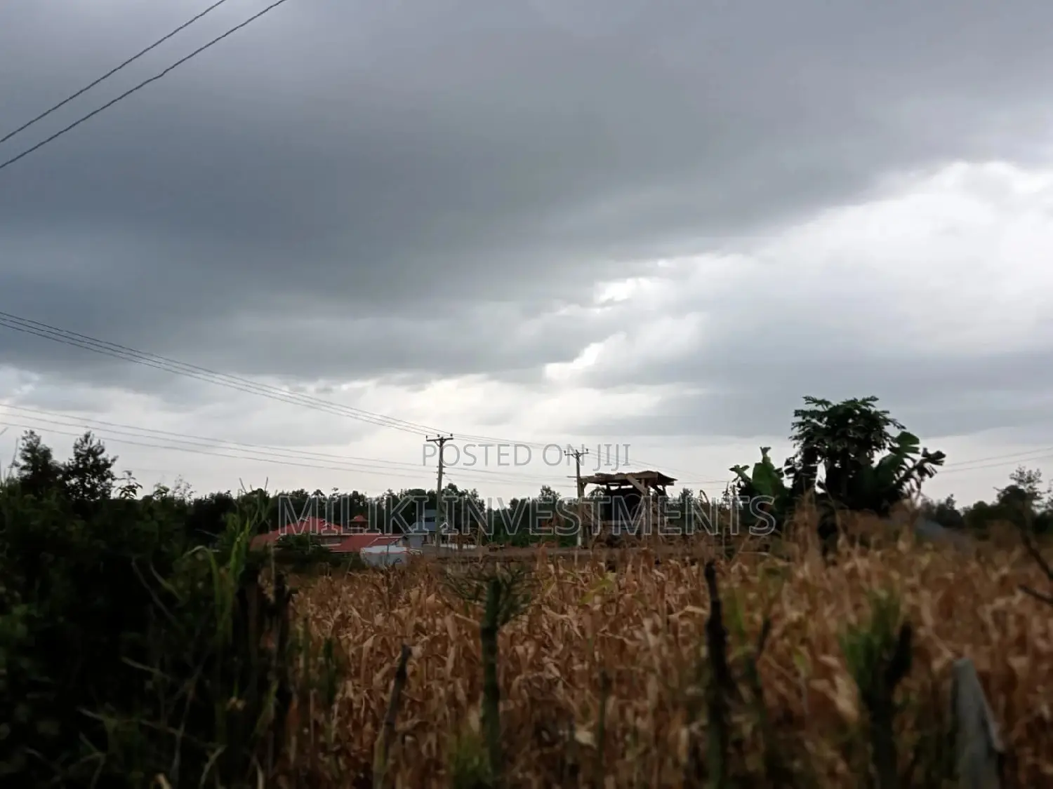 40x80 Plot in Kenol-Kimorori - Ideal Location for Your Next Real Estate Venture in Kimorori/Wempa