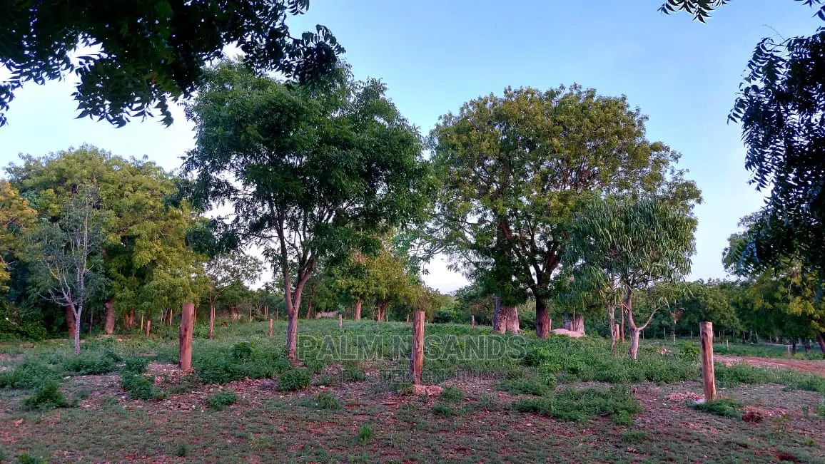 Diani Prime: Buy Your Dream Quarter Acre Plot Today in Ukunda