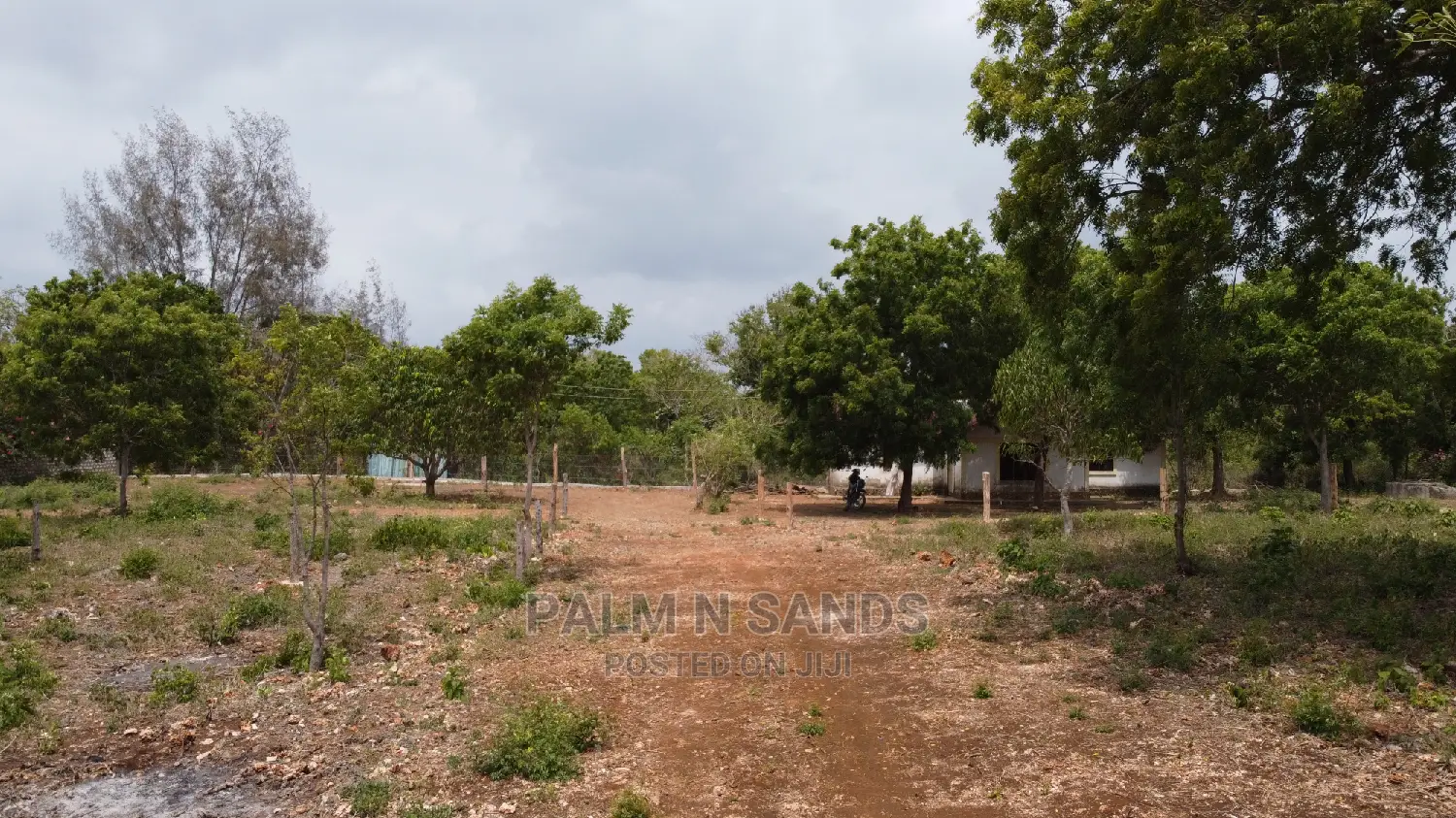 Diani Prime: Buy Your Dream Quarter Acre Plot Today in Ukunda