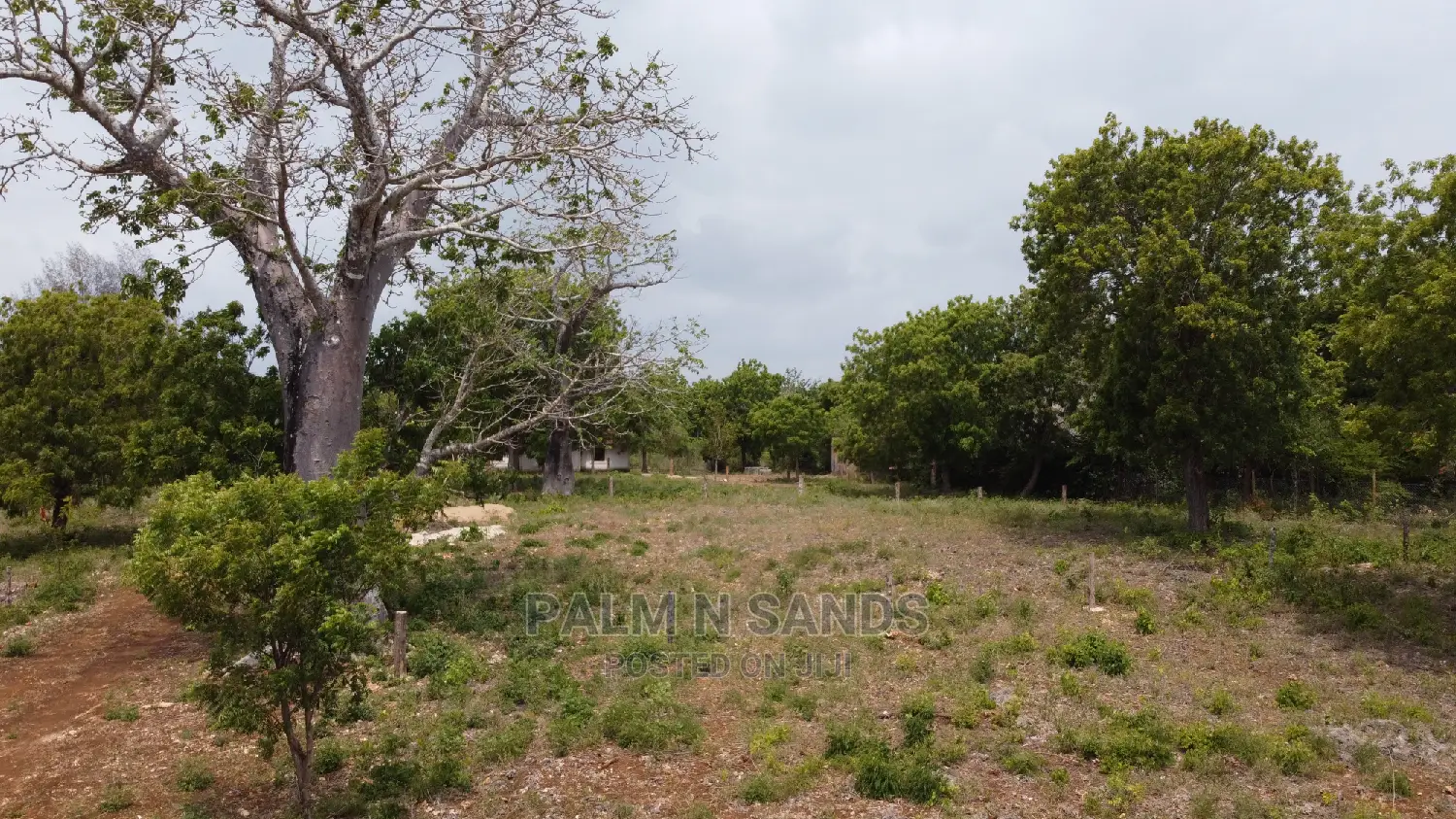Diani Prime: Buy Your Dream Quarter Acre Plot Today in Ukunda