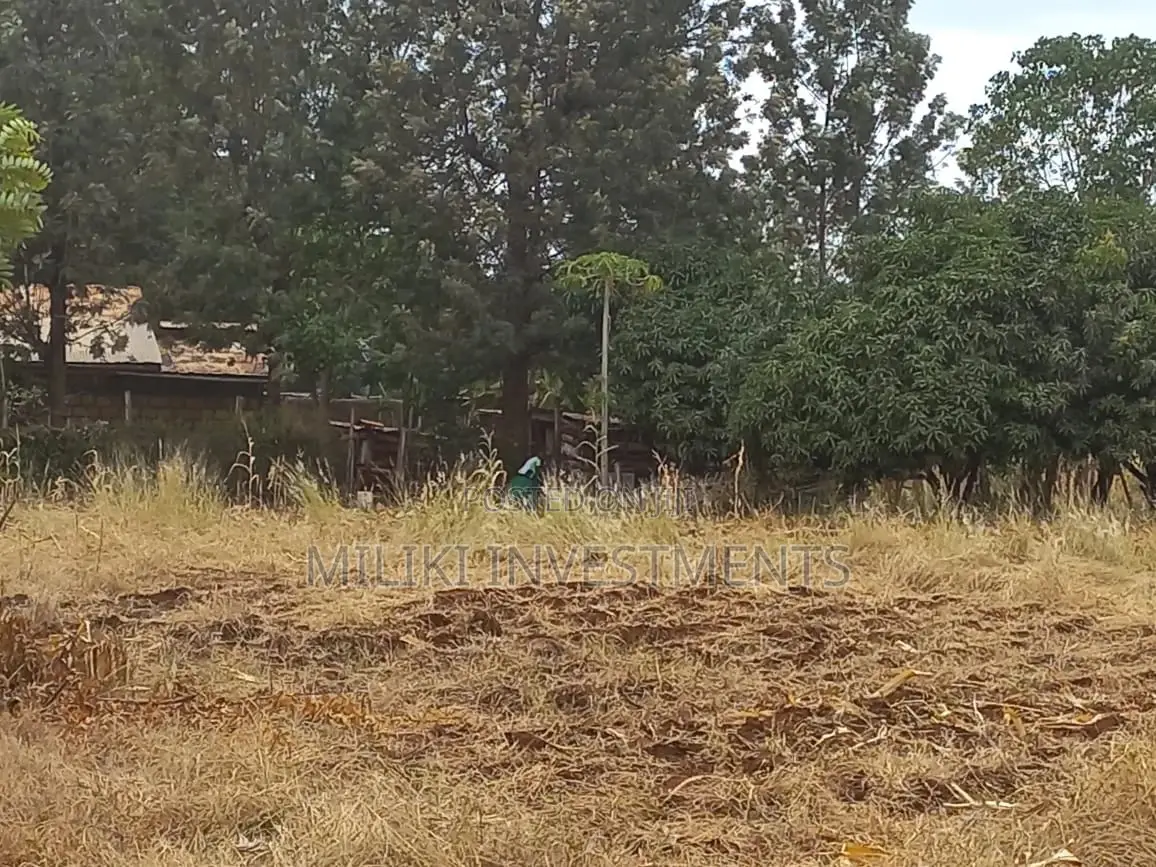 Affordable 50x100 Plots in Kenol-Sagana Makutano - Now Available! in Mutithi