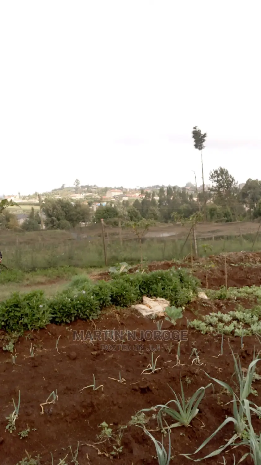 2 Acres Kamandura. PCEA Church Side in Limuru CBD