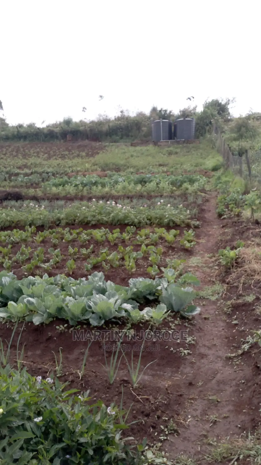 2 Acres Kamandura. PCEA Church Side in Limuru CBD