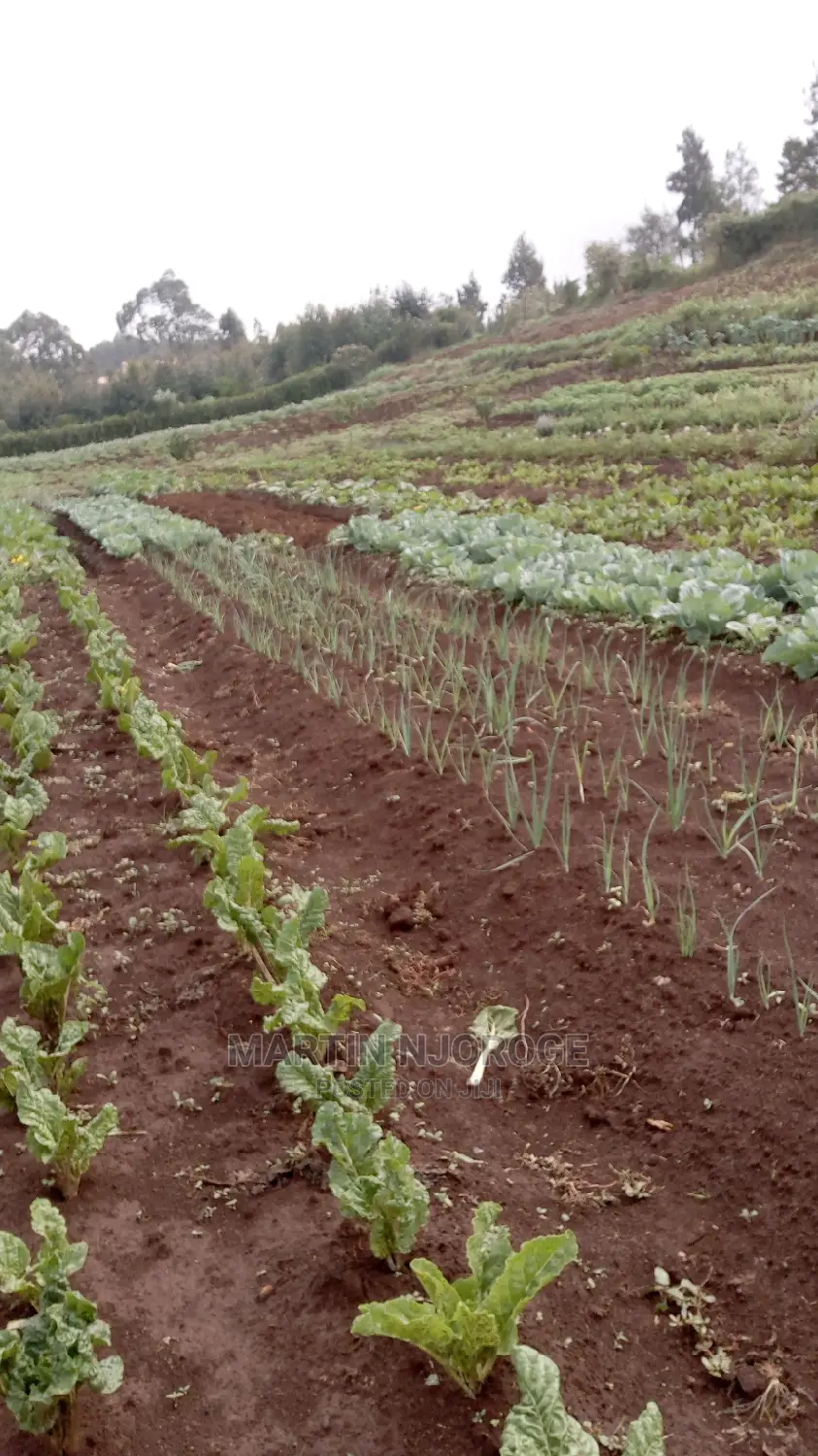 2 Acres Kamandura. PCEA Church Side in Limuru CBD