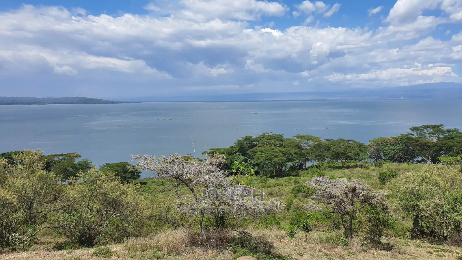 20-acre Lakefront Property in Naivasha, near Crater Lake Conservancy in Maella