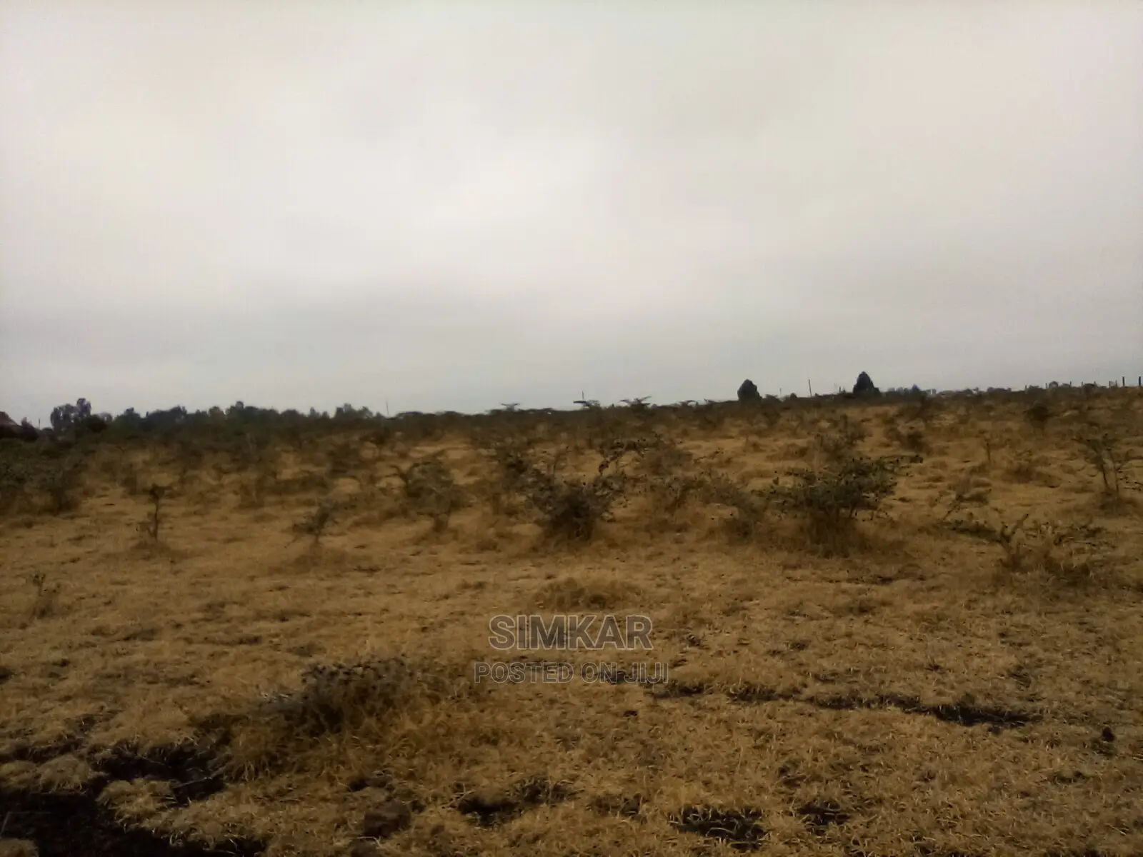 5-Acre Plot for Sale in Olooloitikosh/Sholinke/Oloosirik: Seize the Opportunity! in Oloosirkon/Sholinke