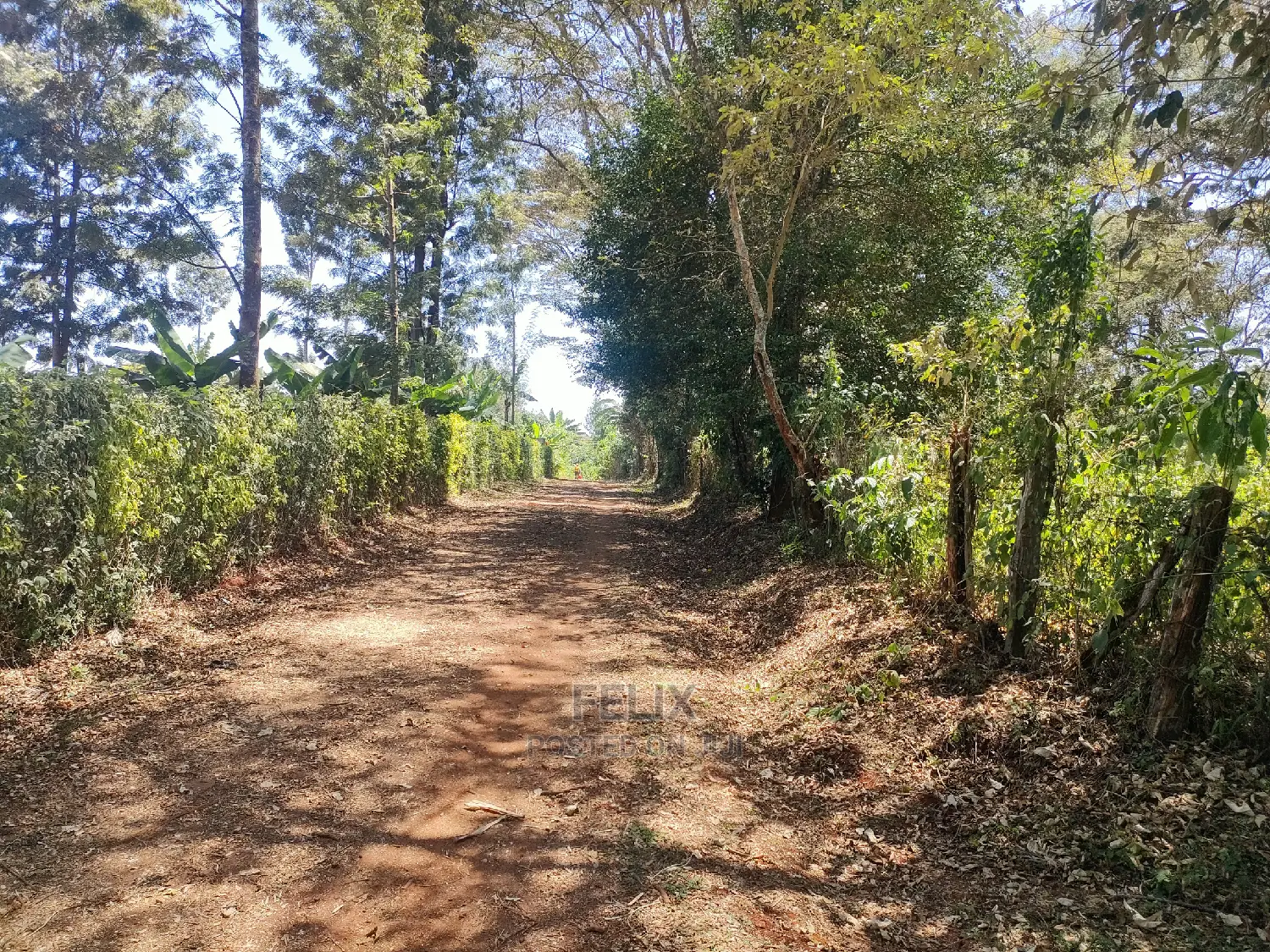 Karatina Ruthagati 5.5 Acres in Karatina Town