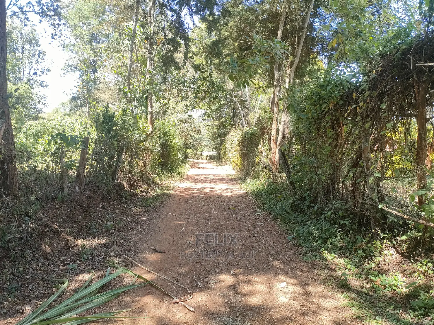 Karatina Ruthagati 5.5 Acres in Karatina Town