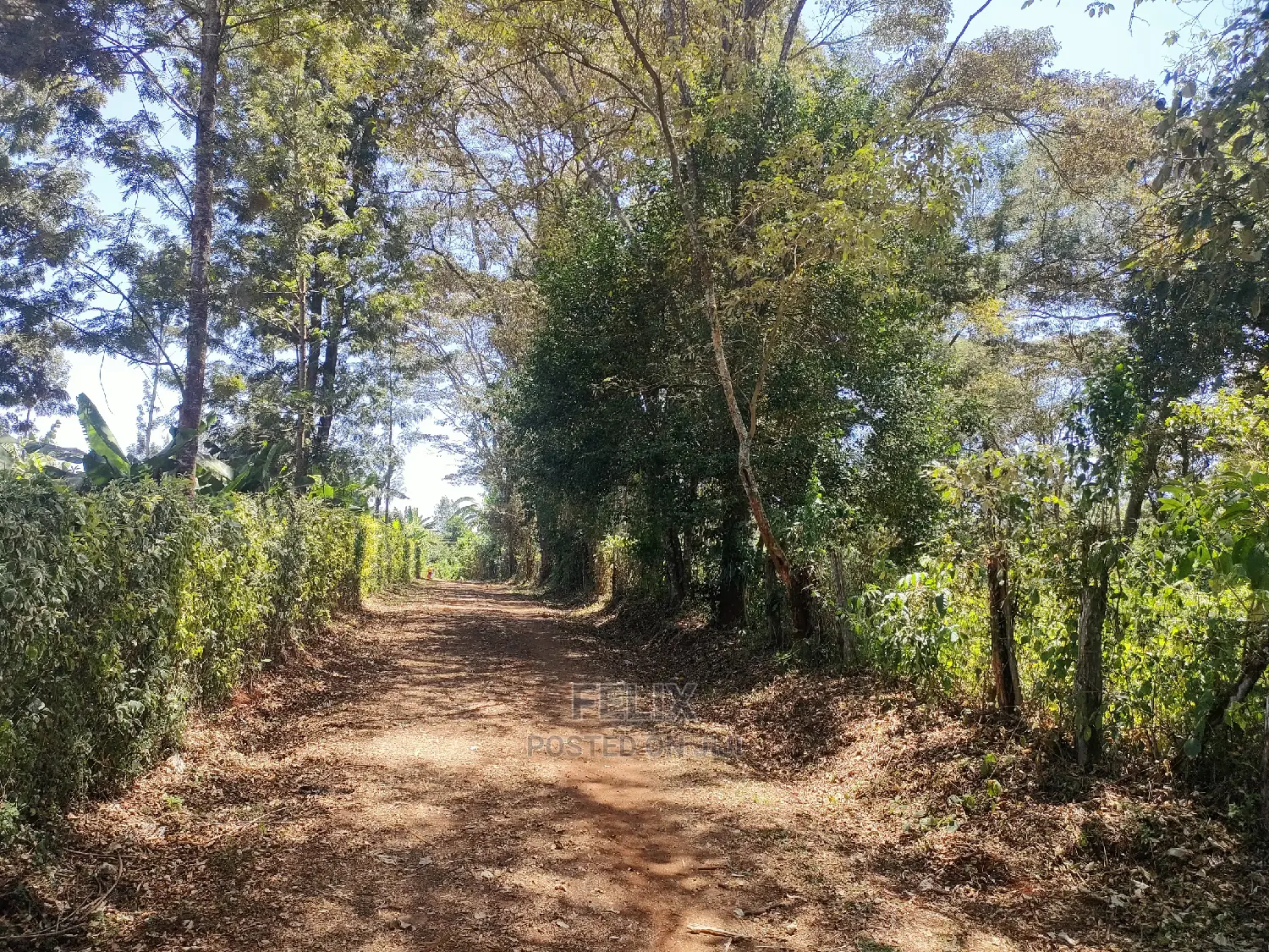 Karatina Ruthagati 5.5 Acres in Karatina Town