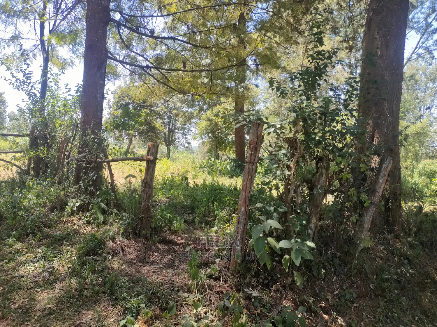 Karatina Ruthagati 5.5 Acres in Karatina Town