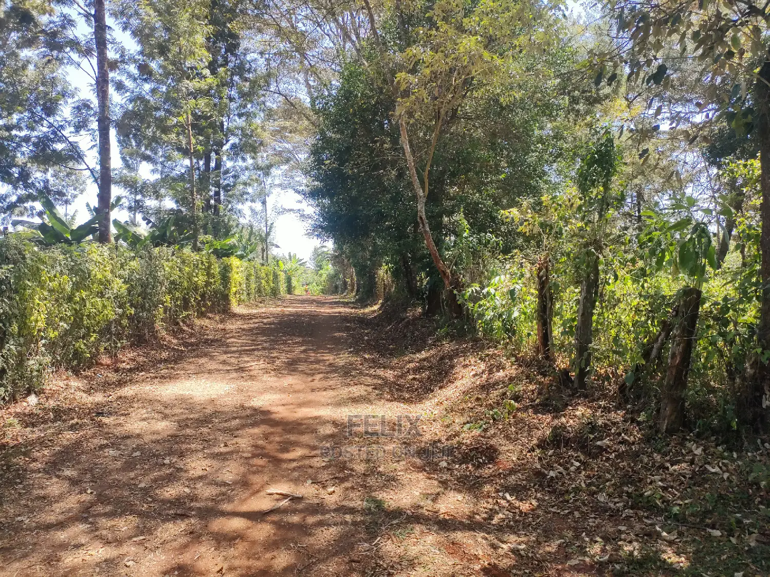Karatina Ruthagati 5.5 Acres in Karatina Town