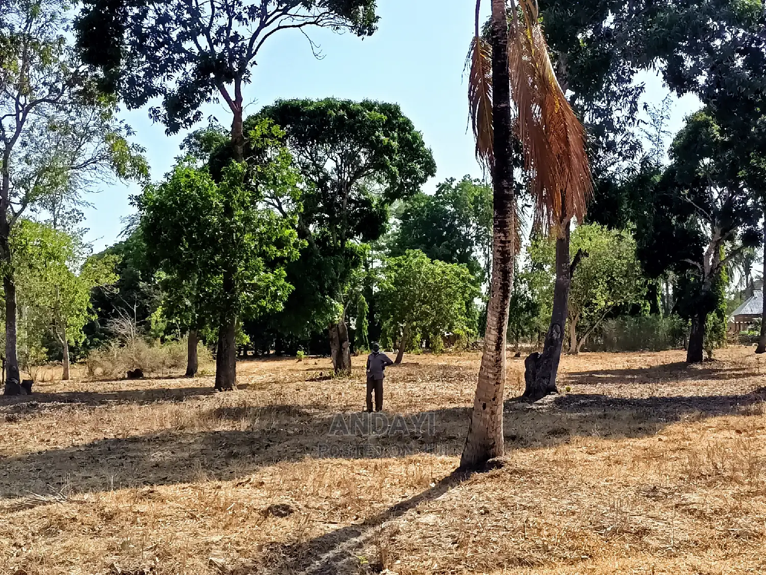 Prime Properties in MTWAPA - Buy Now and Grow Your Wealth! in Mtwapa