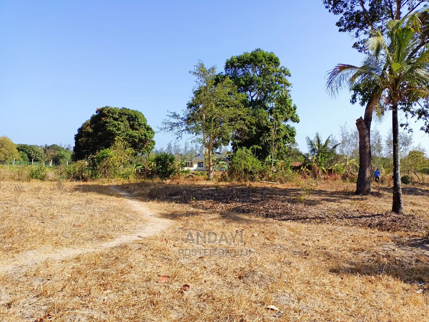 Prime Properties in MTWAPA - Buy Now and Grow Your Wealth! in Mtwapa