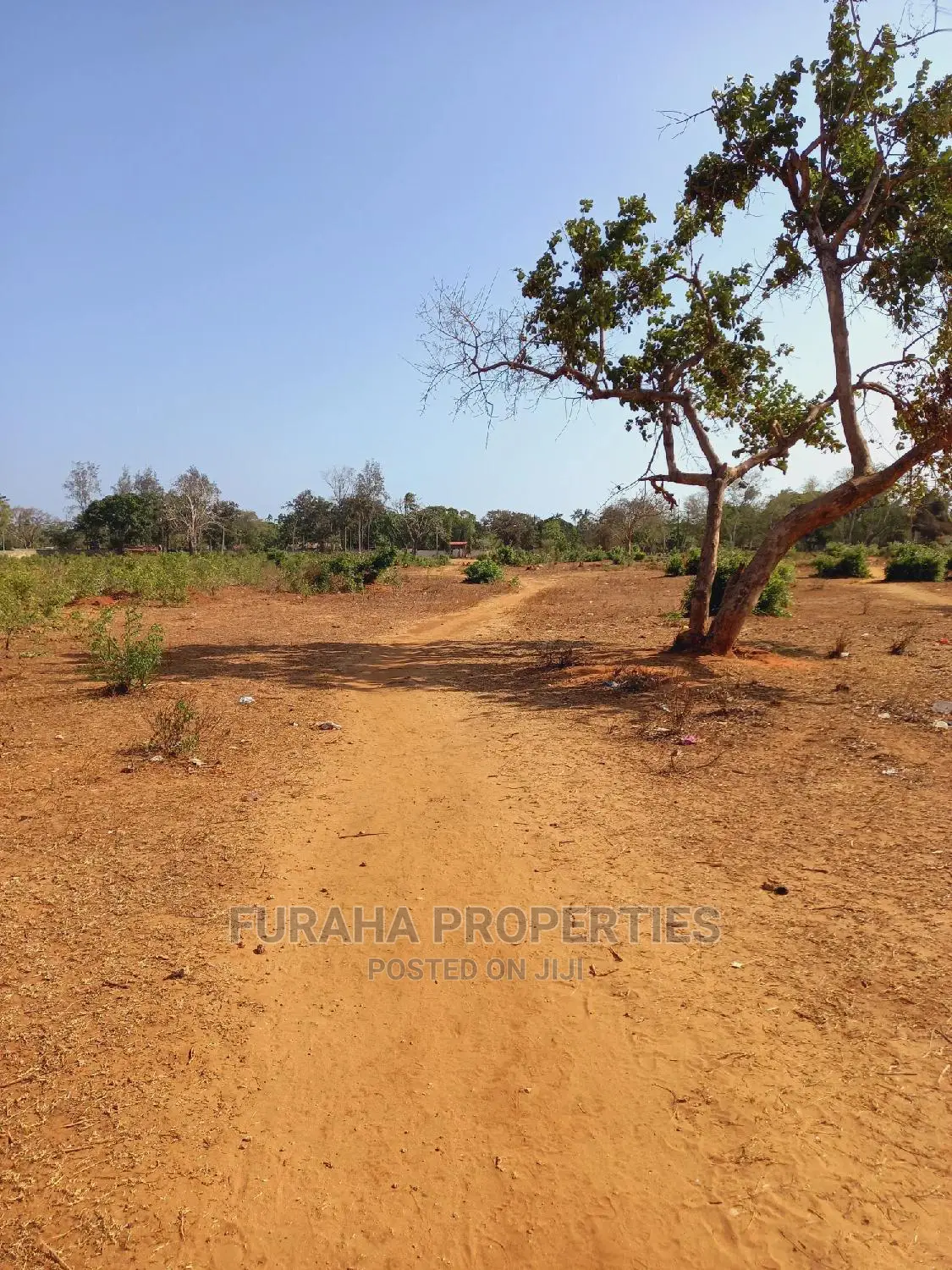 4 Acre Plot in Mtapa - Ideal for Development or Agriculture in Mtwapa