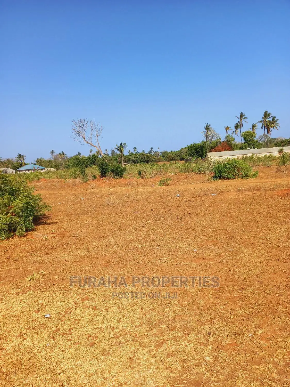 4 Acre Plot in Mtapa - Ideal for Development or Agriculture in Mtwapa
