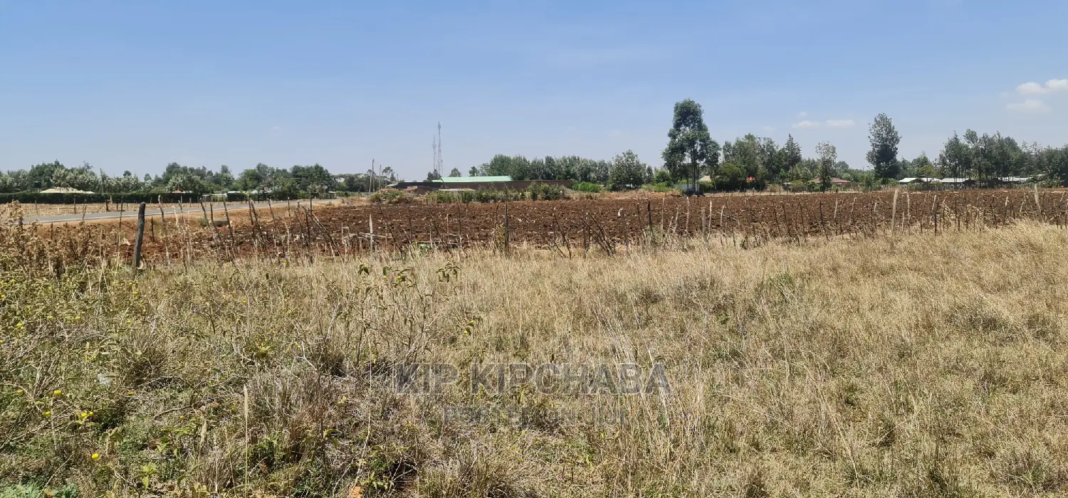 Affordable Prime Plots for Sale near Tarmac Marura, Eldoret in Kimumu