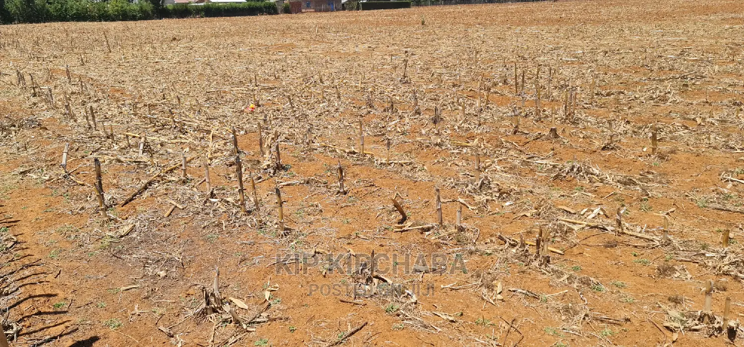 Affordable Prime Plots for Sale near Tarmac Marura, Eldoret in Kimumu