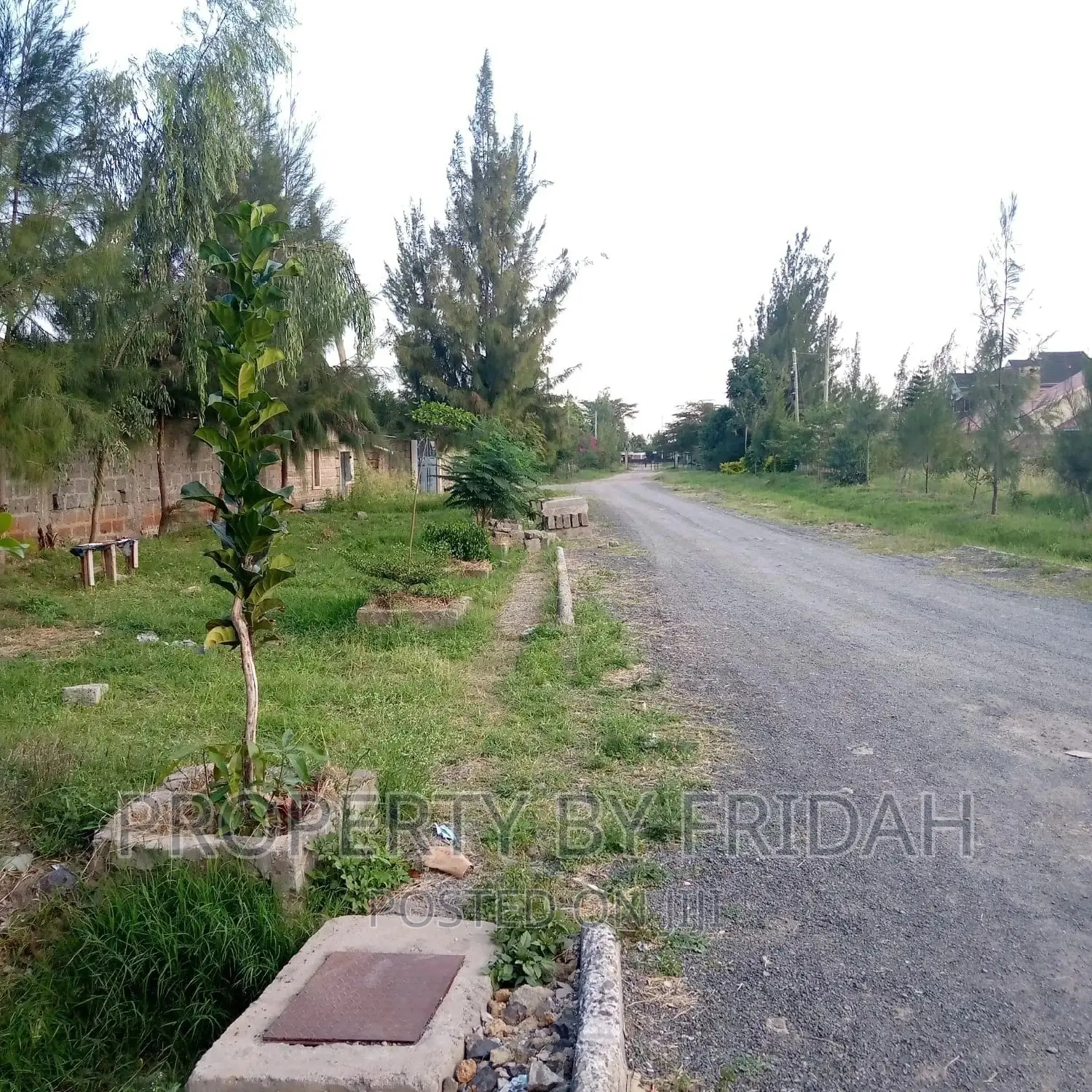 Affordable Land for Sale in Syokimau - Invest Today! in Gateway Mall Area