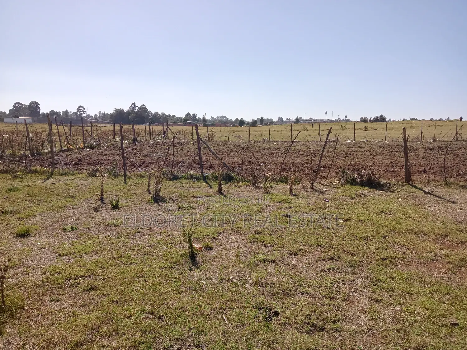 Hawaii Kimumu: 1/4 Acre Rental Plot Opportunity in Eldoret West