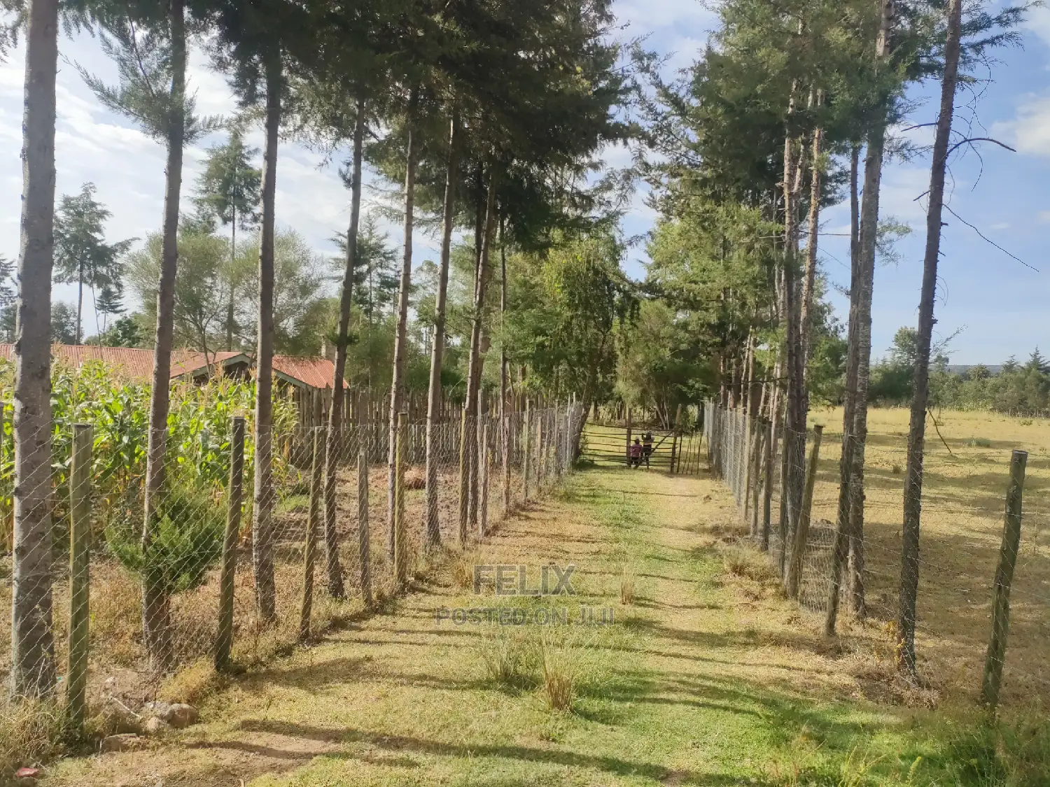 Narumoru/Kaburaini Half Acre Touching Main Tarmac in Kieni