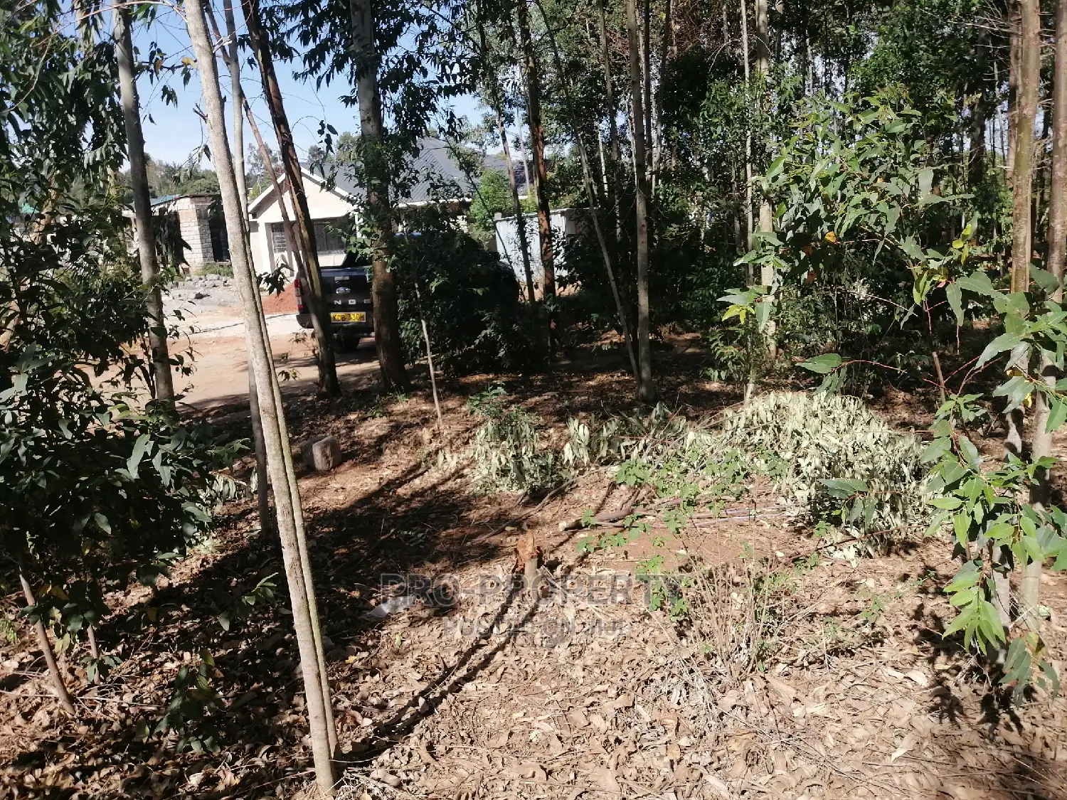 50x100ft Prime Land Available in Kikuyu, Kamangu for Sale in Karai