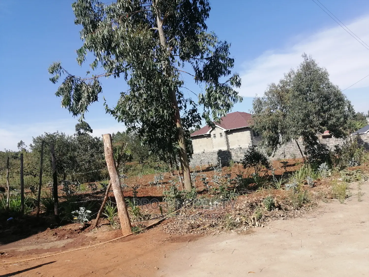 50x100ft Prime Land Available in Kikuyu, Kamangu for Sale in Karai