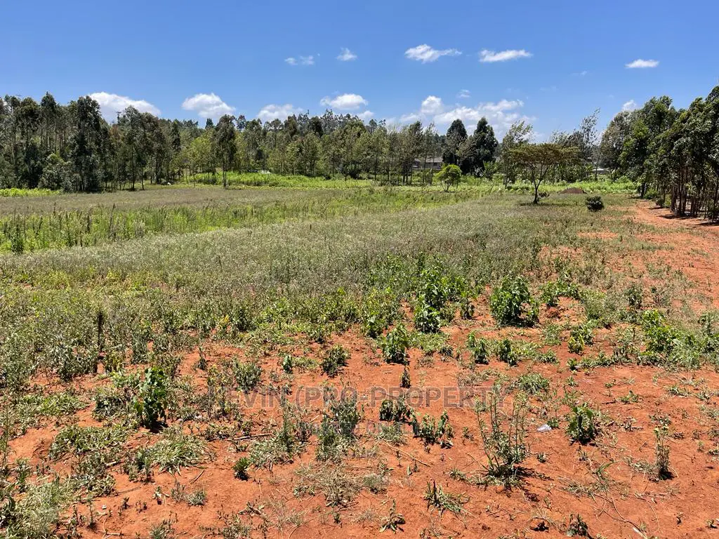 Prime One-Acre Land Available for Purchase in Kikuyu, Lusigetti, Kiambu County in Karai