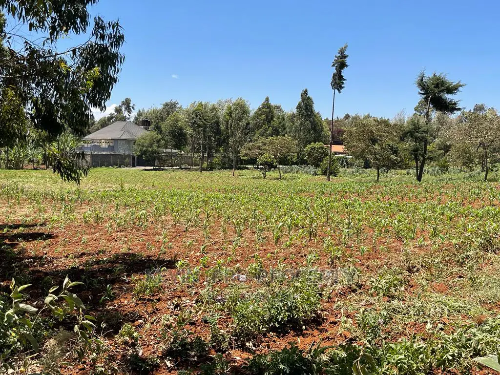 Prime One-Acre Land Available for Purchase in Kikuyu, Lusigetti, Kiambu County in Karai