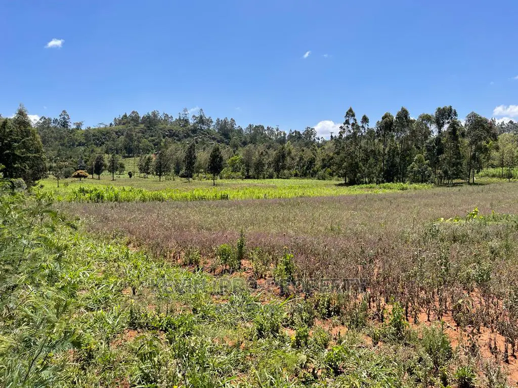 Prime One-Acre Land Available for Purchase in Kikuyu, Lusigetti, Kiambu County in Karai