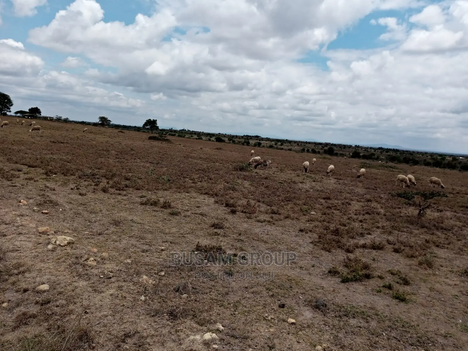 Isinya Kwa Mzungu - 10 Acres of Land for Sale - Perfect for Development in Isinya