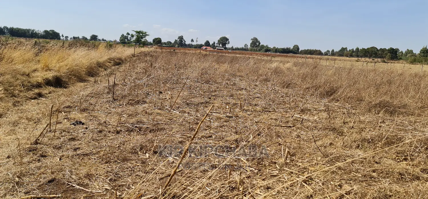Affordable 1/2 Acre Land for Sale Near Lelit, Eldoret in Kimumu