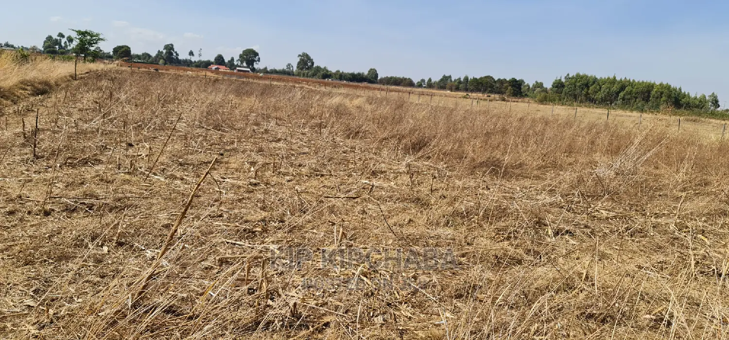 Affordable 1/2 Acre Land for Sale Near Lelit, Eldoret in Kimumu