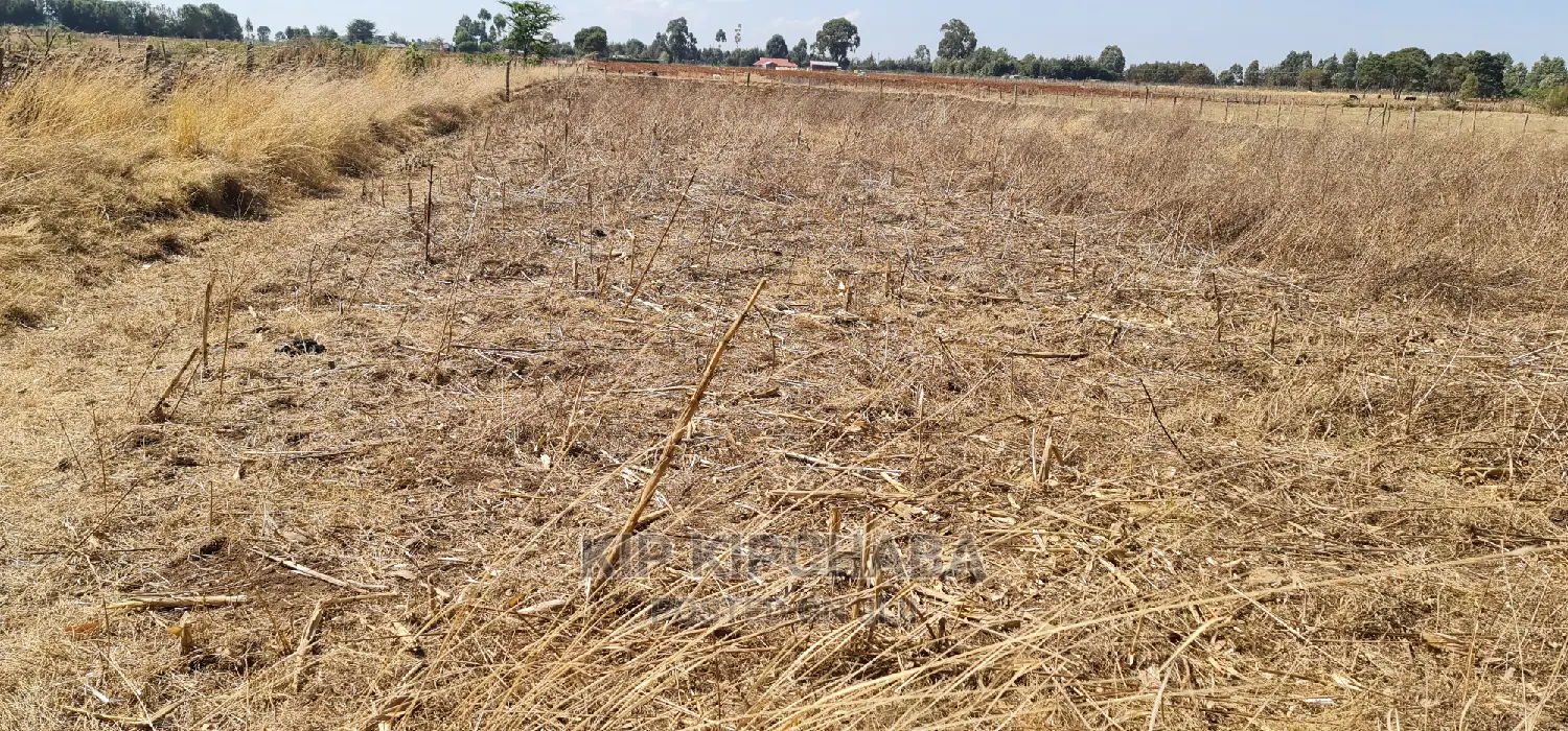 Affordable 1/2 Acre Land for Sale Near Lelit, Eldoret in Kimumu