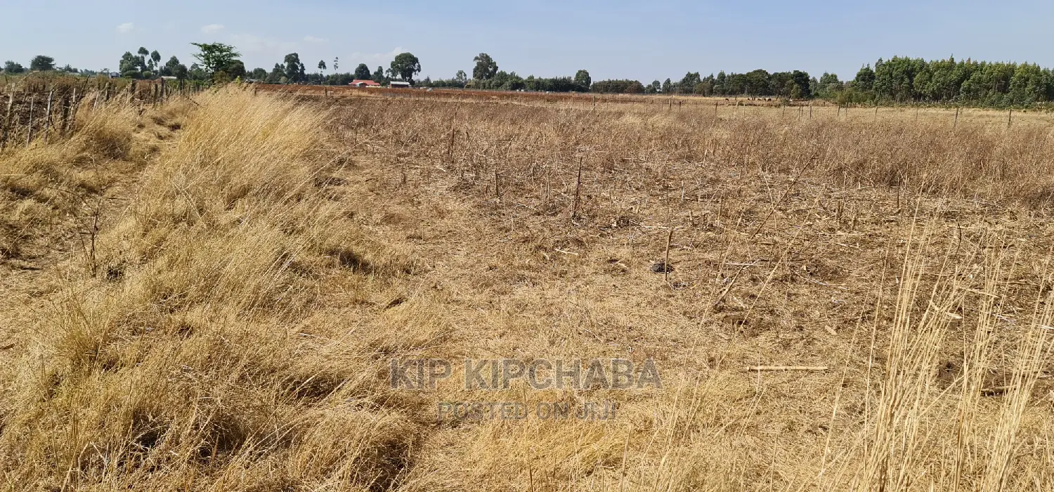 Affordable 1/2 Acre Land for Sale Near Lelit, Eldoret in Kimumu