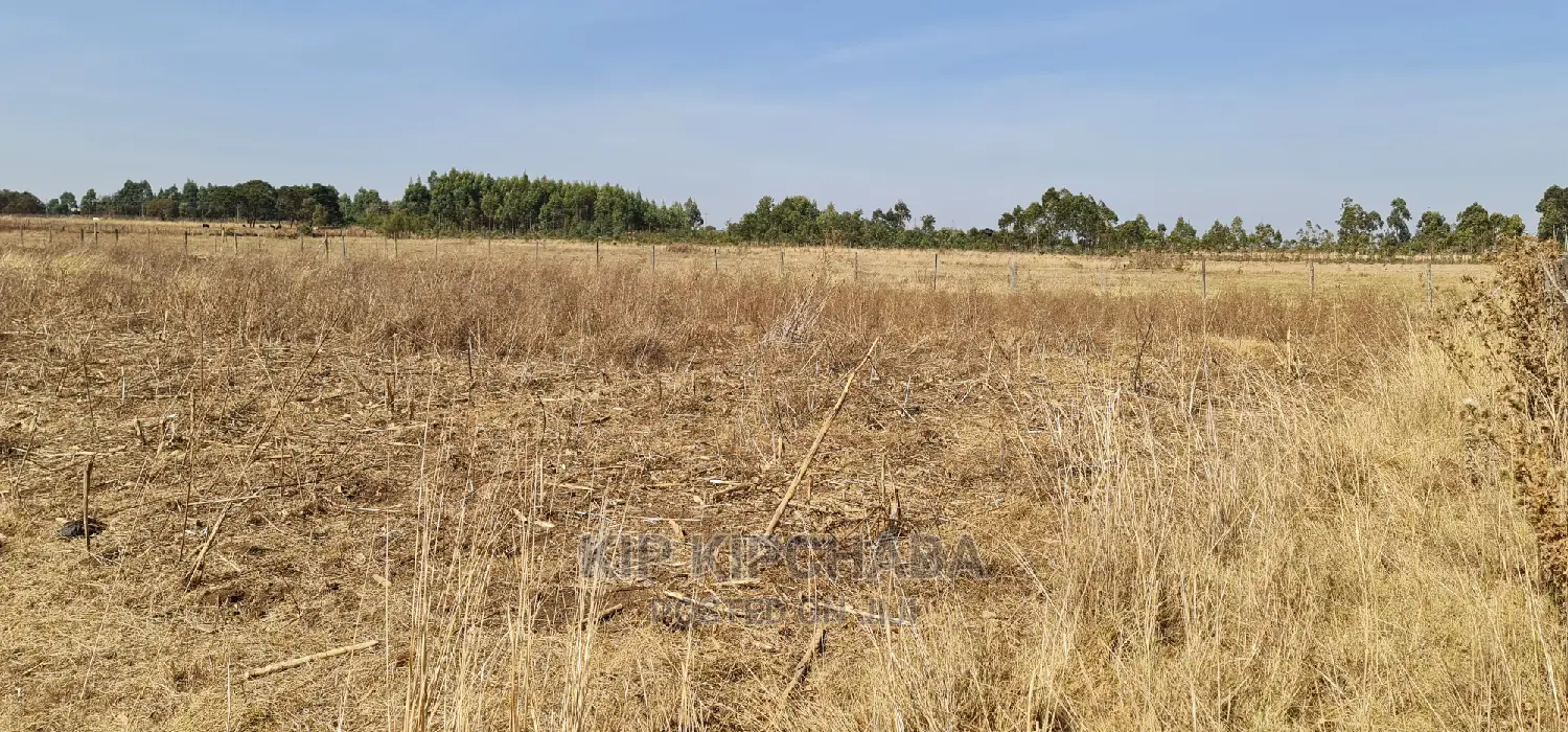 Affordable 1/2 Acre Land for Sale Near Lelit, Eldoret in Kimumu
