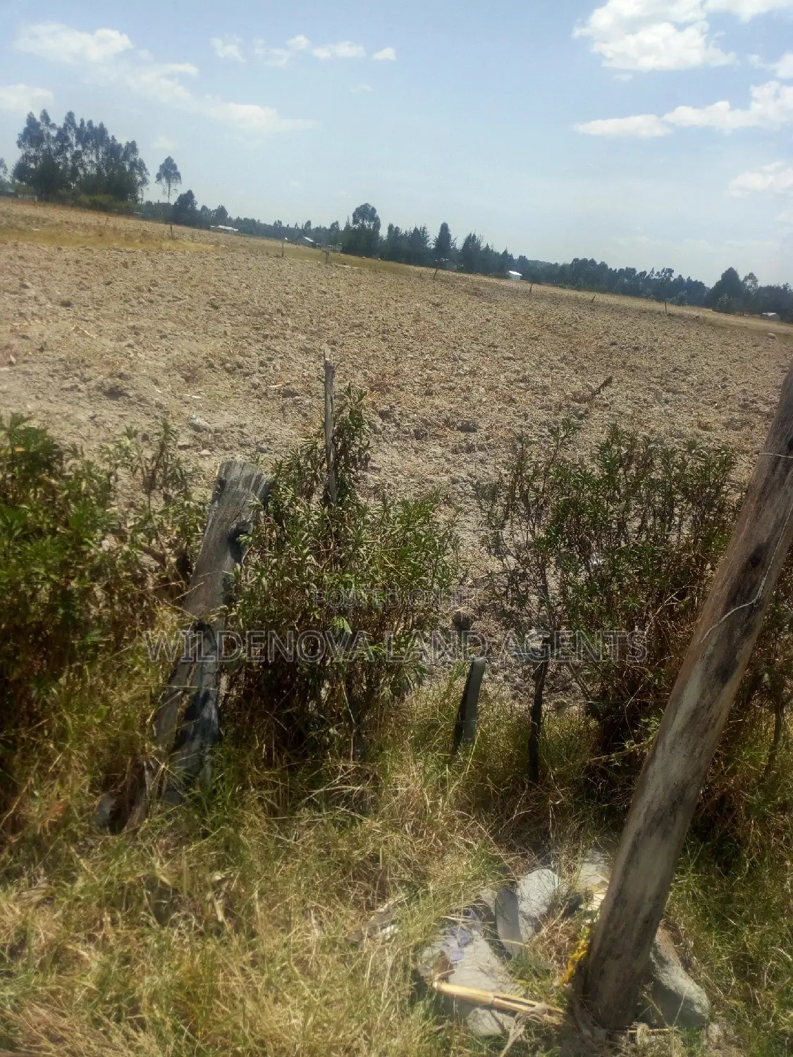 Land & House Sale in Murungaru: Your Perfect Property Awaits in North Kinangop