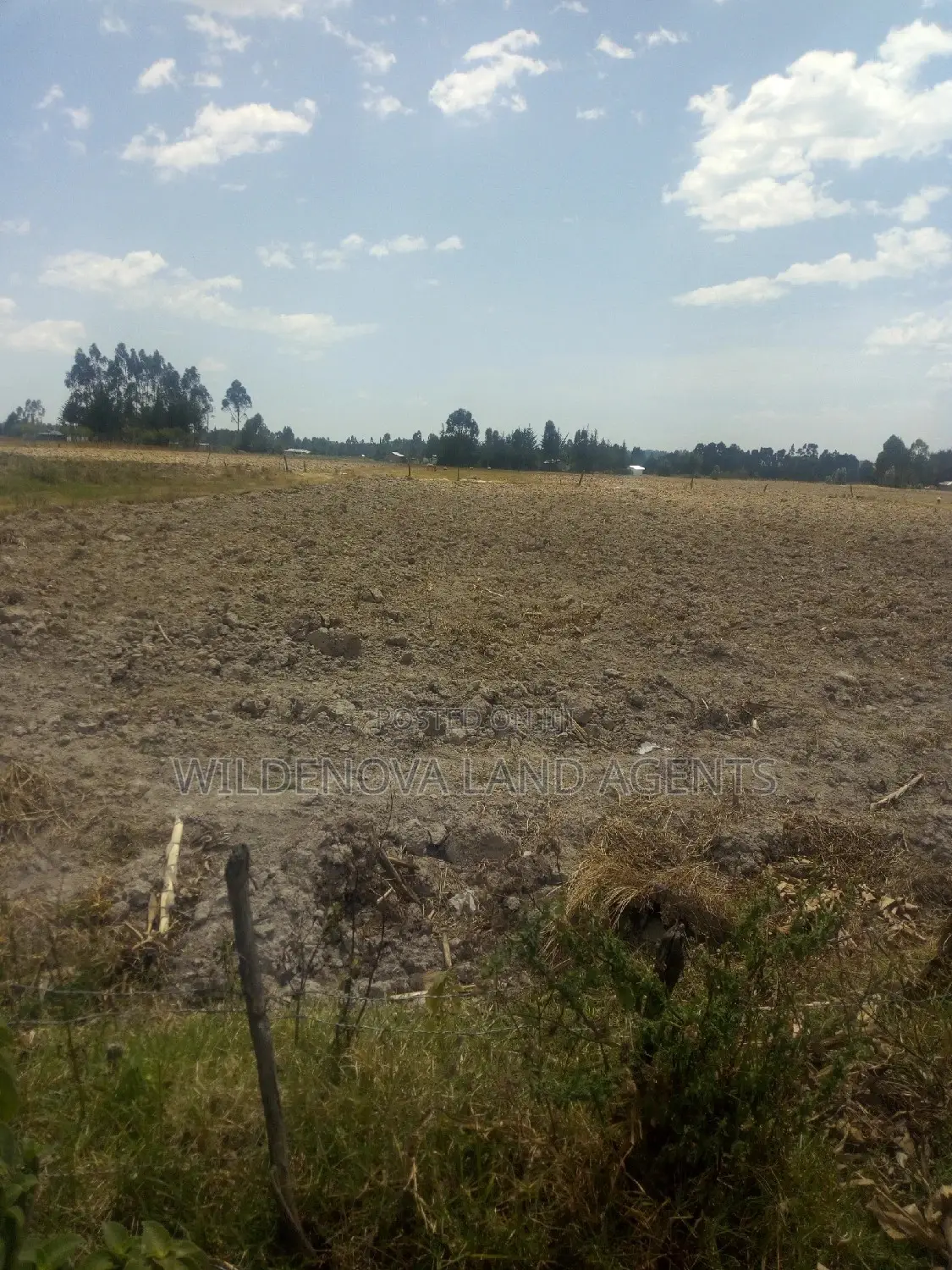 Land & House Sale in Murungaru: Your Perfect Property Awaits in North Kinangop