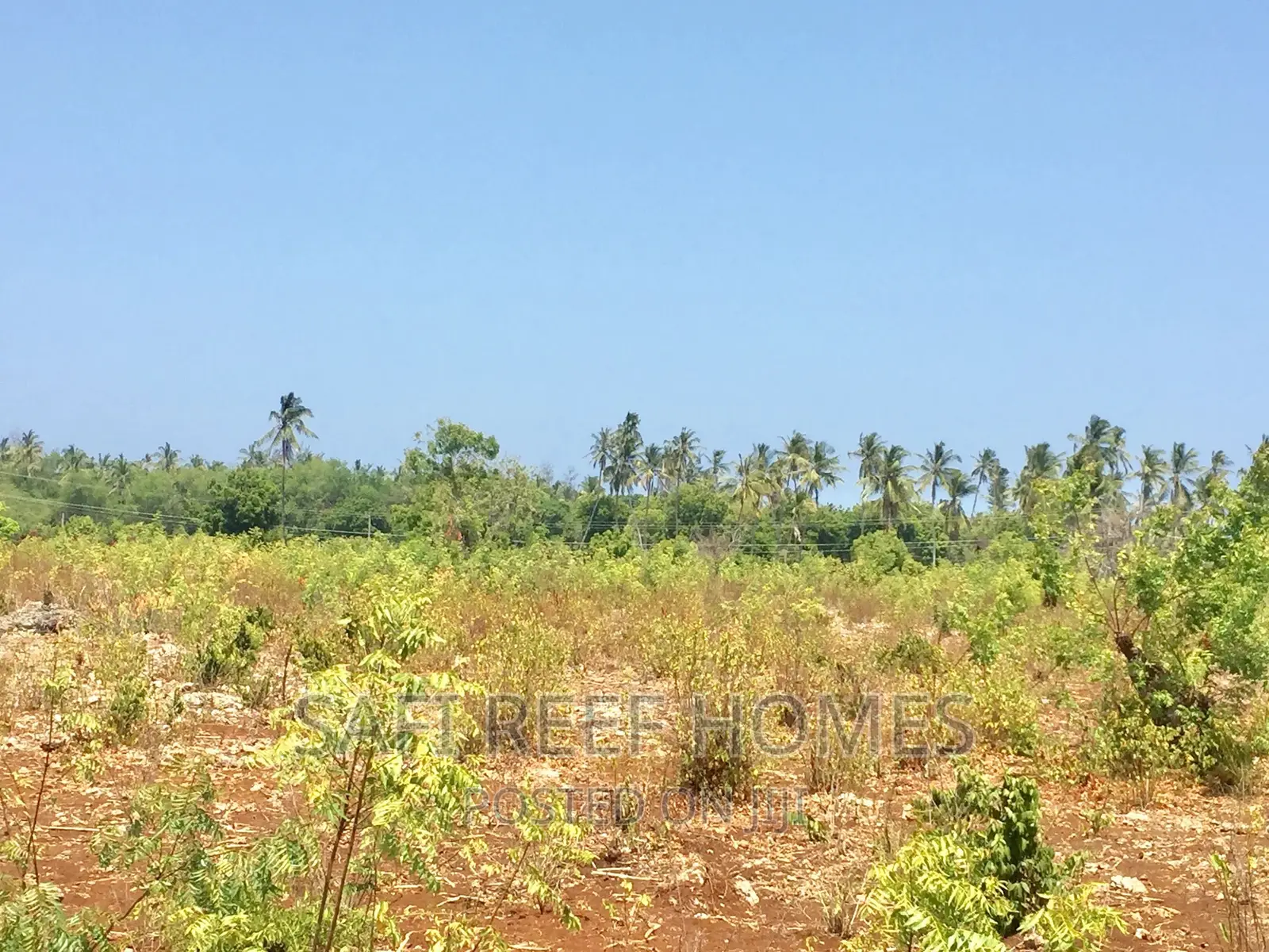 Spacious 3-Acre Plot for Sale in Kikambala - 2nd Row - 7M - ₽60,000,000 in Mtwapa