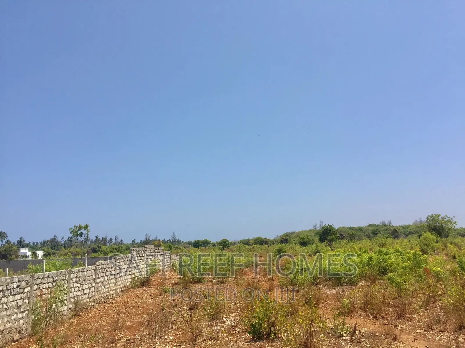 Spacious 3-Acre Plot for Sale in Kikambala - 2nd Row - 7M - ₽60,000,000 in Mtwapa