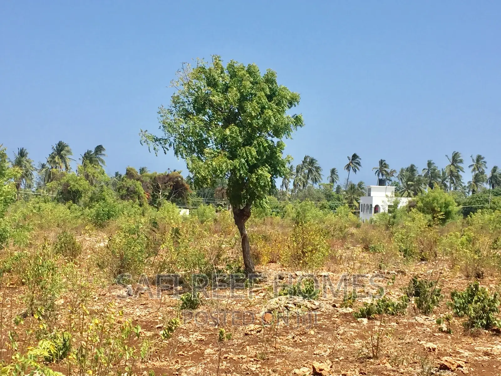 Spacious 3-Acre Plot for Sale in Kikambala - 2nd Row - 7M - ₽60,000,000 in Mtwapa