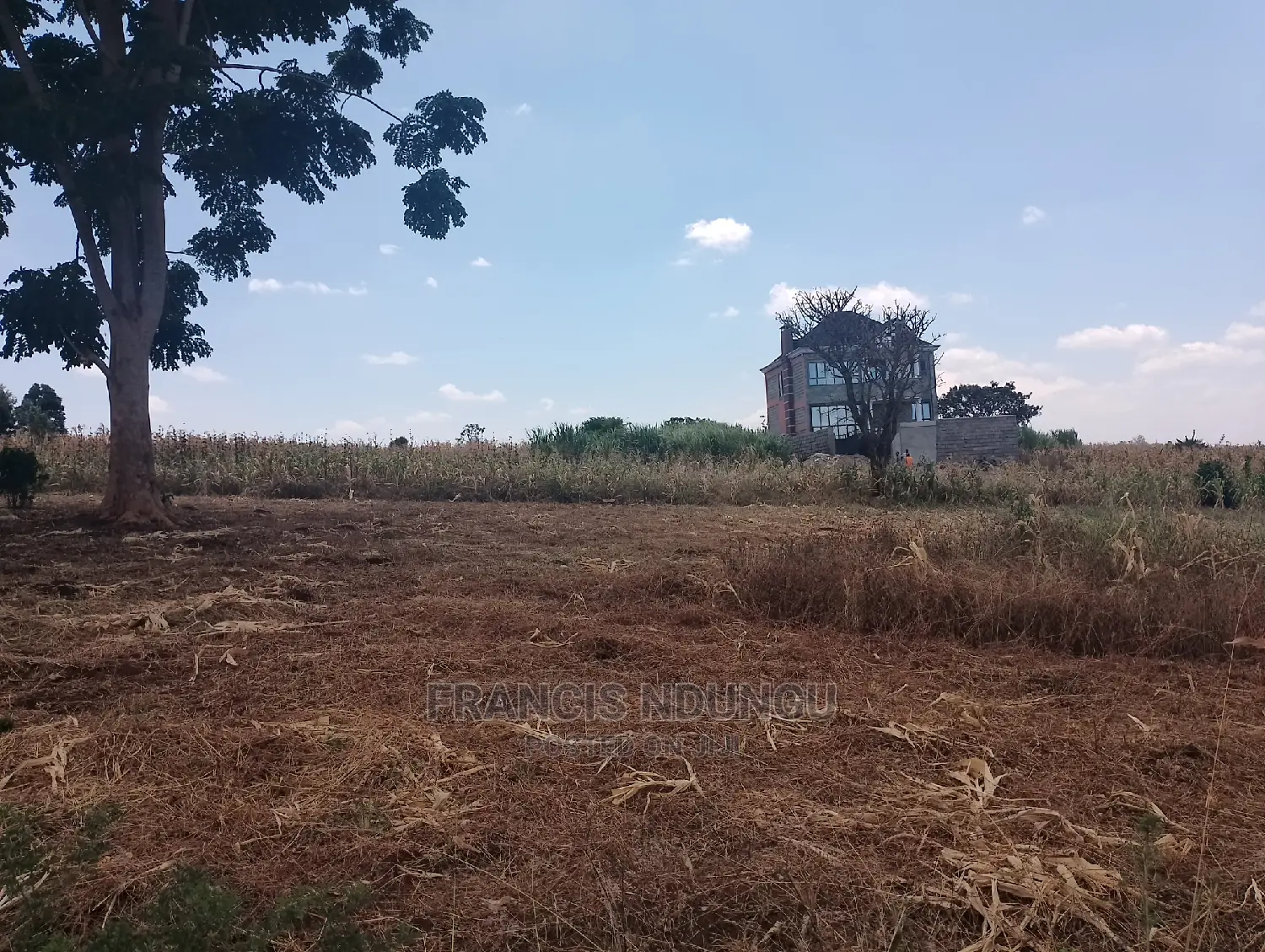 40x80 Plot for Sale Tinganga Anmer Next to Migaa Estate. in Tinganga
