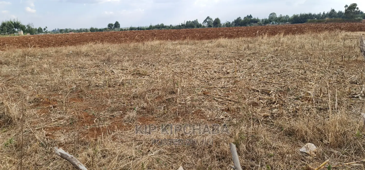 Commercial Property in Naibery, Ldoret - Adjacent to Tarmac Road Access in Illula