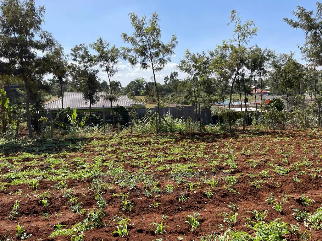 Residential 70 x 100 ft Plot for Sale in Kikuyu's Gikambura in Karai