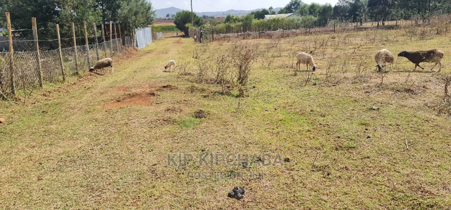 Ideal 1⁄8 Acre Plot for Sale in Chepkanga Iten Road, Eldoret in Sergoit