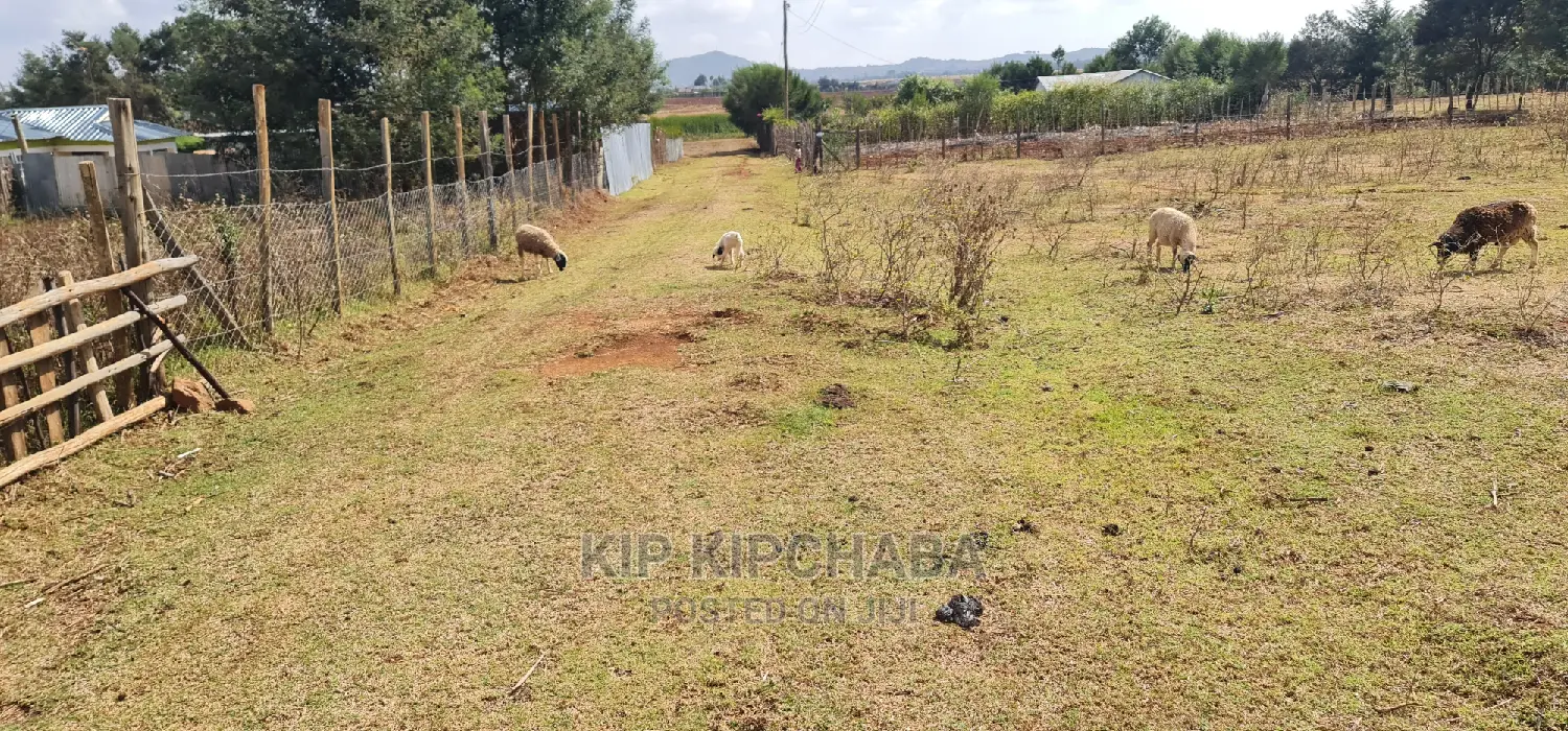 Ideal 1⁄8 Acre Plot for Sale in Chepkanga Iten Road, Eldoret in Sergoit