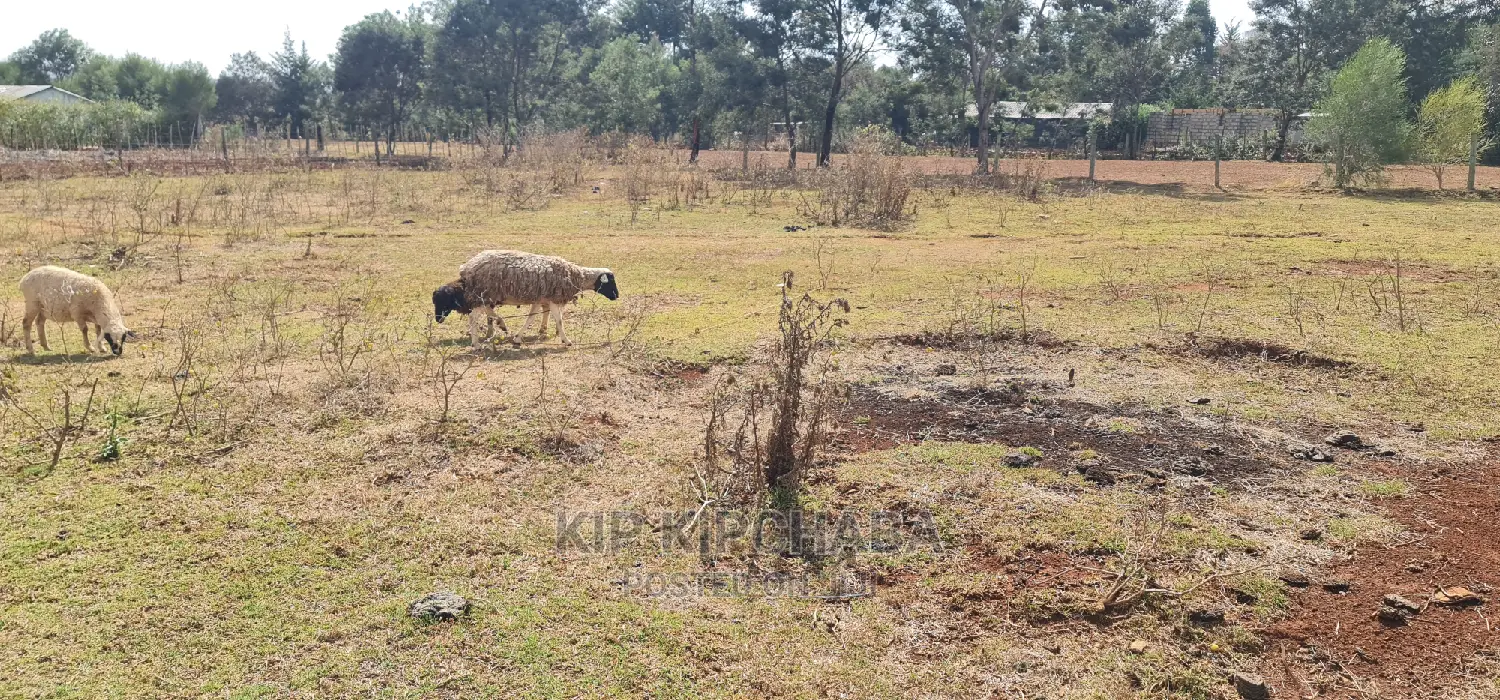 Ideal 1⁄8 Acre Plot for Sale in Chepkanga Iten Road, Eldoret in Sergoit