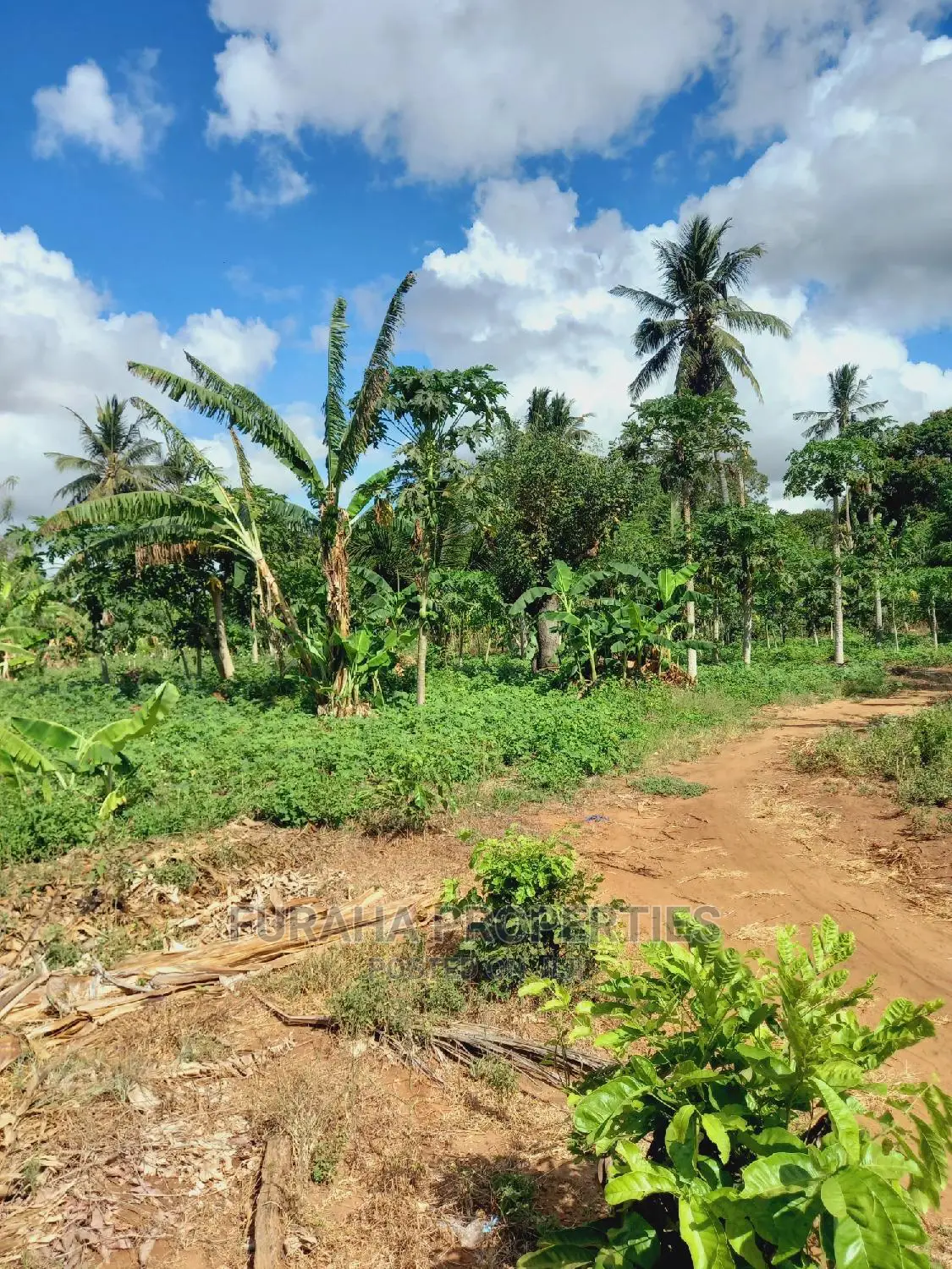 UKUNDA 2 Acre Land: Perfect for Development! in Ukunda