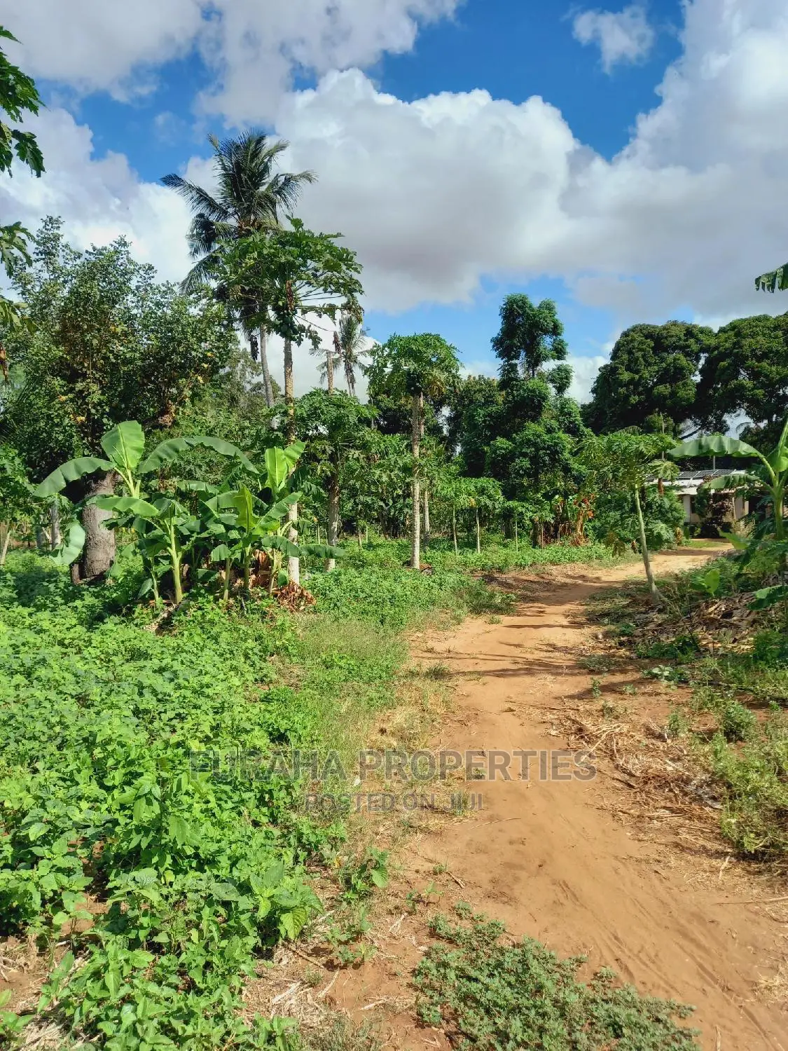 UKUNDA 2 Acre Land: Perfect for Development! in Ukunda