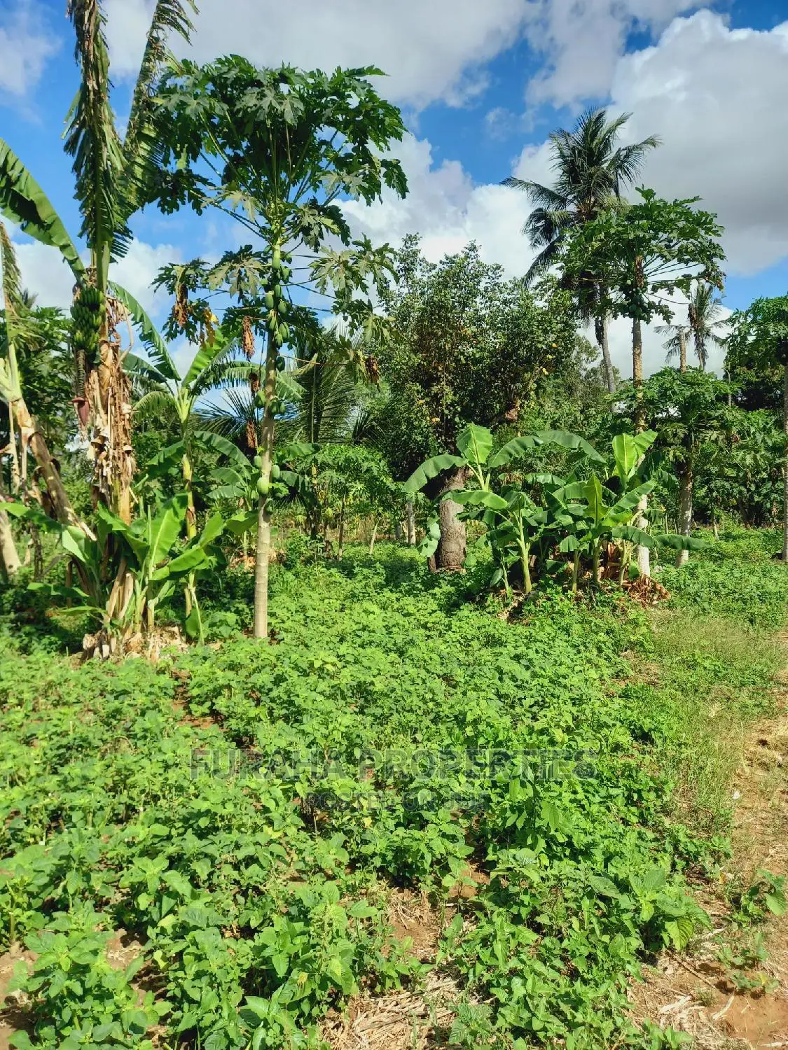 UKUNDA 2 Acre Land: Perfect for Development! in Ukunda