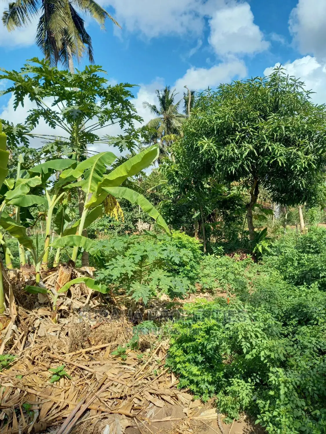 UKUNDA 2 Acre Land: Perfect for Development! in Ukunda